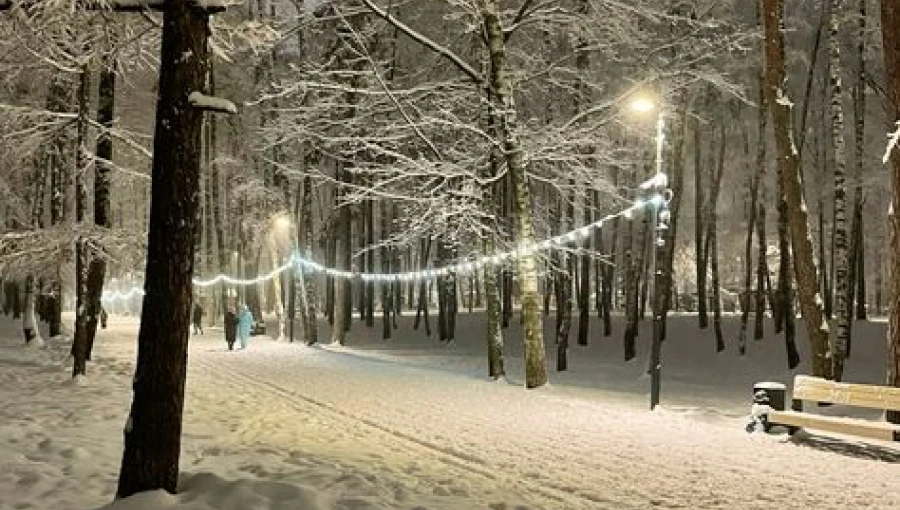 Культура рядом