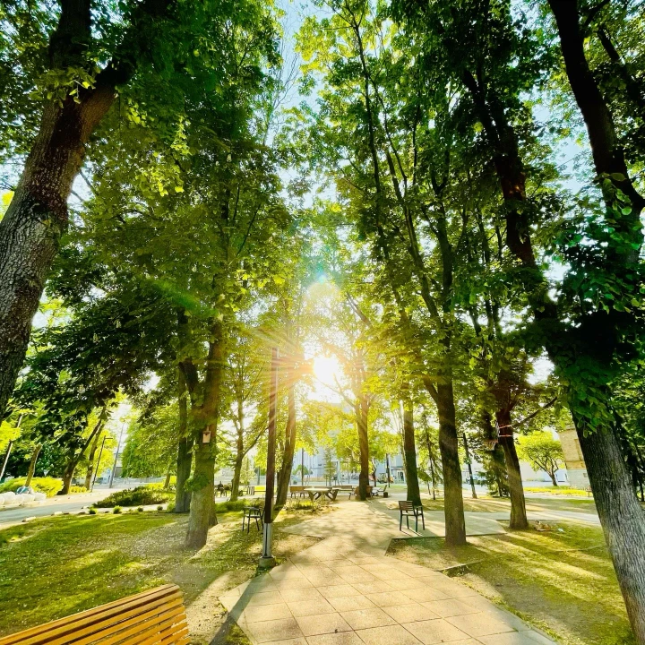 Летние прогулки в парках Москвы