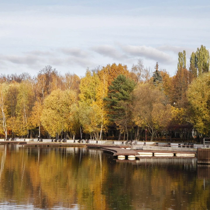 Летняя программа в городских парках
