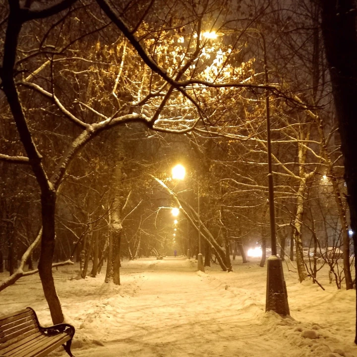 Зимние парки Москвы: идеи для прогулок, отдыха и сезонных развлечений